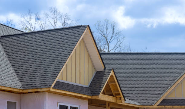 Best Roof Restoration  in Morrice, MI