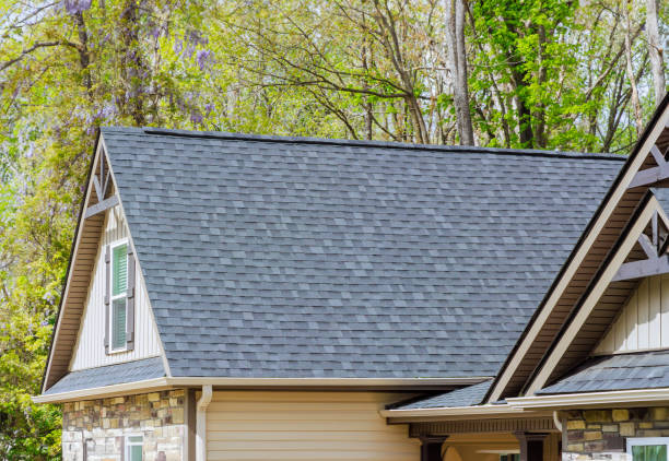 Best Sheet Metal Roofing  in Morrice, MI