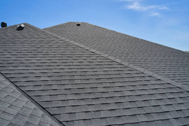 Best Solar Panel Roofing Installation  in Morrice, MI