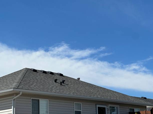 Gutter Replacement in Morrice, MI